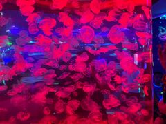 -多彩贵州城极地海洋世界