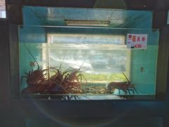 -明珠海港大酒店