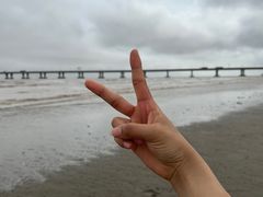 -南汇新城海滩