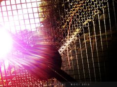 -华山儿童公园