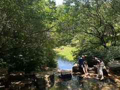 -杭州半山国家森林公园