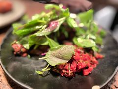 -毛辣果·酸(OHA复兴西路店)