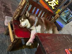 -故事小酒馆