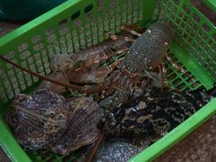 -班赞海鲜市场