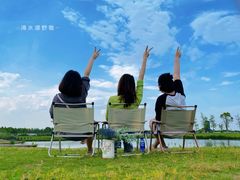 -春花秋色城市公园