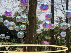 -人民公园(罗湖区)