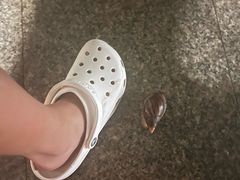 -三亚亚龙湾红树林度假酒店