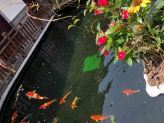 -华庭苑农家乐(旺山店)