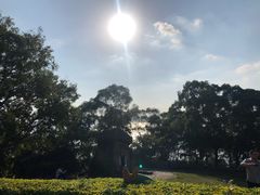 -胡里山炮台