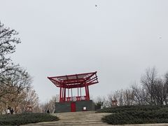 -大望京公园