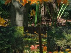 -杭州植物园