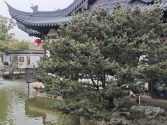 -常熟方塔园