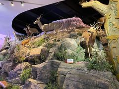 -陕西自然博物馆