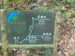-黄山翡翠谷景区