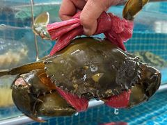 -喜记避风塘炒辣蟹(旗舰店)