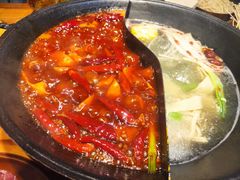 -阳阳老火锅(小南门店)