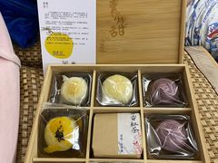-猫里有甜
