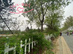 -回龙观体育文化公园