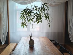 -天荷菜根·闽南素食自助(少林寺店)