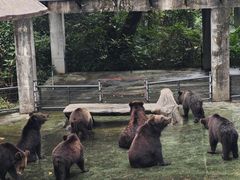 -深圳野生动物园