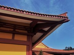 -三水森林公园