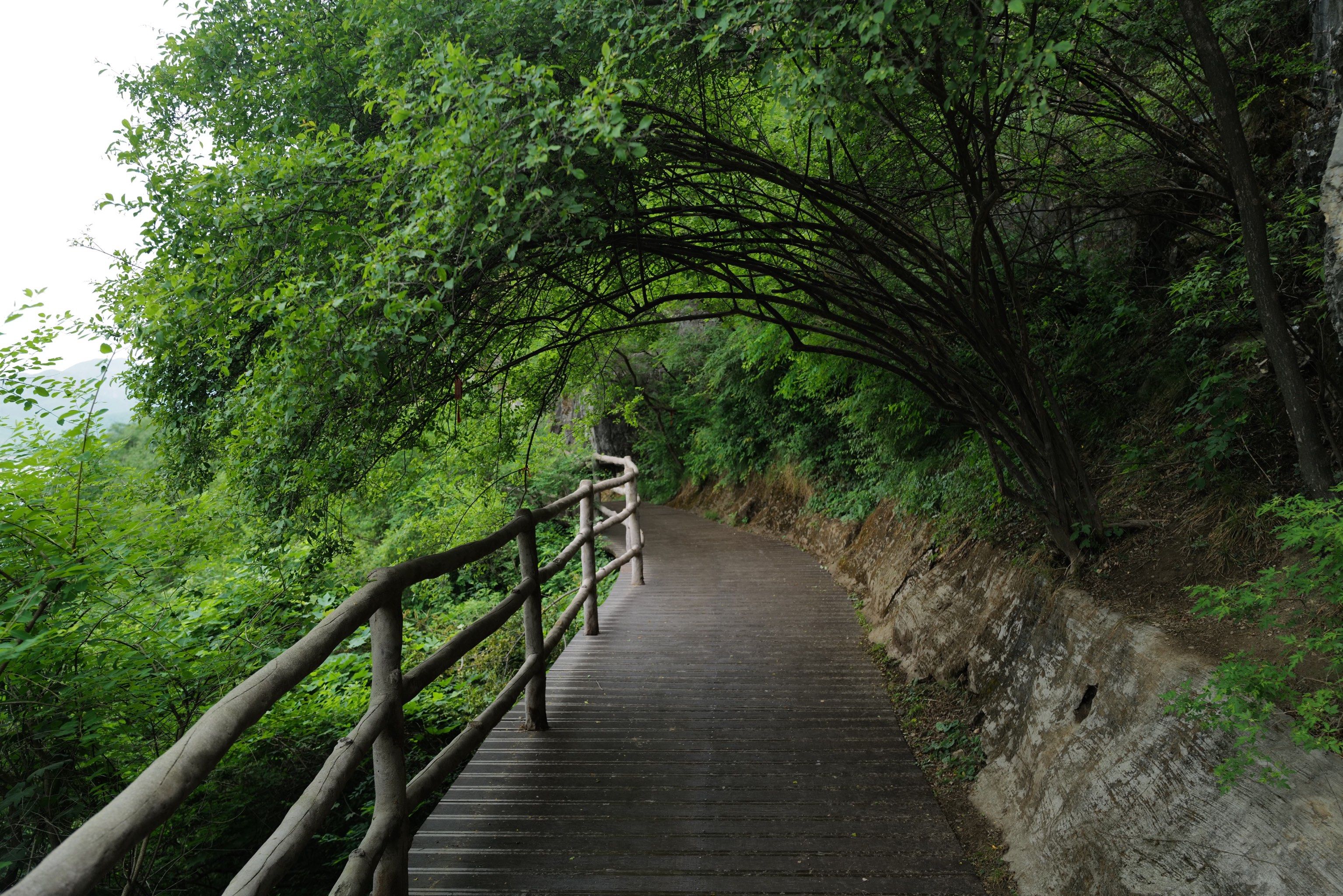 曲径通幽的山间路