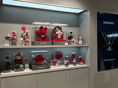 -ROSEONLY诺誓(国际广场购物中心店)