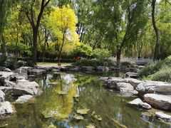 -莲花池公园