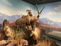 -陕西自然博物馆