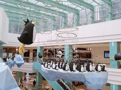 -大族广场Mall&More