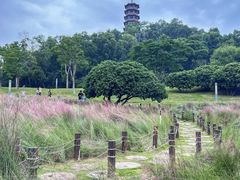 -红花山公园