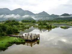 -大九湖