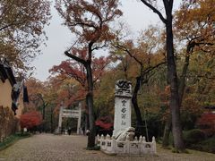 -灵谷景区