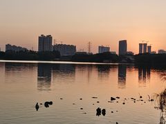 -海珠湖公园