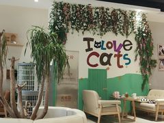大堂-藏猫猫咖啡主题馆(中央大道店)