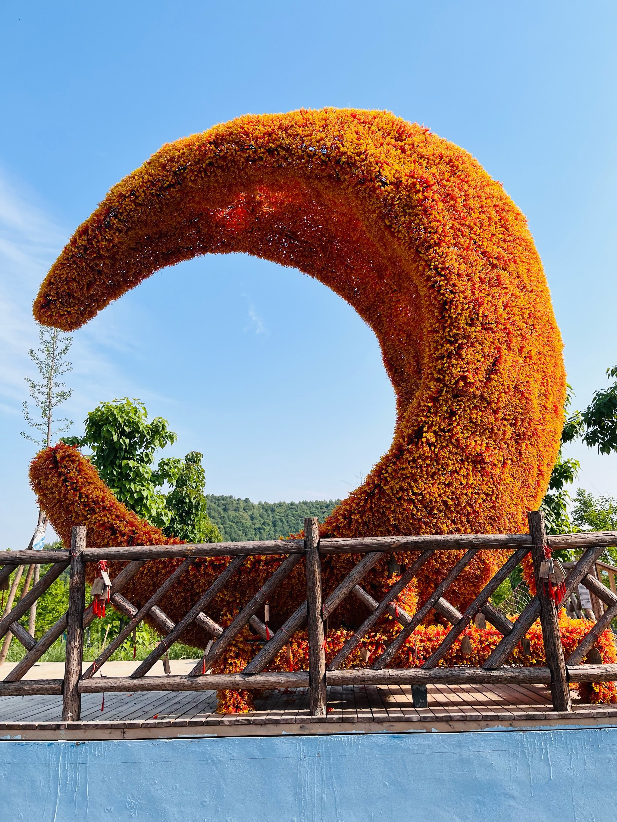那时明月花溪谷遛娃露营,现实版莫奈花园🌸