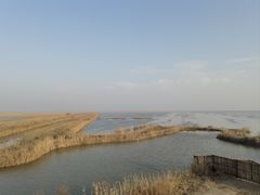 -盐城丹顶鹤湿地生态旅游区