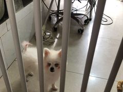 -美美酱宠物(外运路小区店)