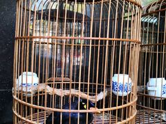 -到家尝北京菜(西坝河店)