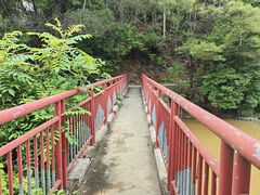 -中山市树木园