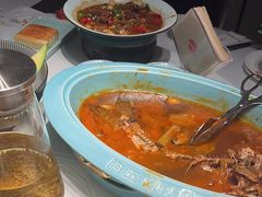 -阿五黄河大鲤鱼(英协路店)