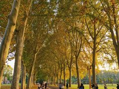 -河南省黄河迎宾馆