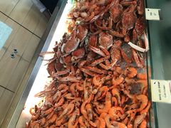 -彩虹云霄拜约克摩天塔