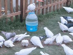 -南阳卧龙岗武侯祠