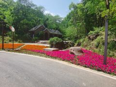 -南京市江宁方山
