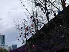 -芸南道·过桥米线(昆明老街旗舰店)