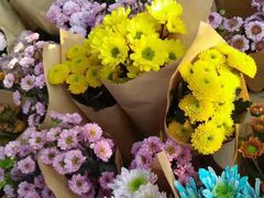 -三圣花乡旅游区