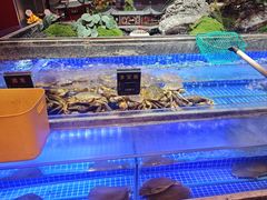 -鸽子侯·家宴·平价海鲜(绿地店)