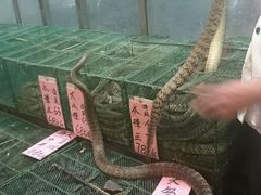 -荔城生鲜盛宴(番禺旗舰店)