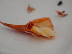 -三辣馆
